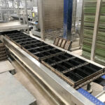 Rademaker_bread_production_line_19
