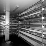 Capway_oval_spiral_cooler_ 01