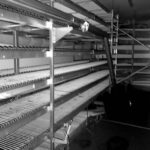 Capway_oval_spiral_cooler_ 02