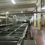 Trivi_cupcake_line_ 13