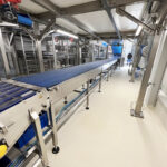 Pizza_production_line_ 09