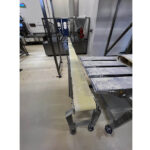 Pizza_production_line_ 14