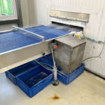 Pizza_production_line_ 32