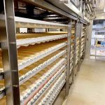 Berliner_production_line_09