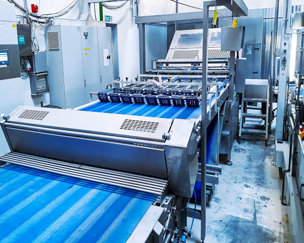 Rademaker hotdog rolls line