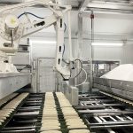 Complete_baguette_plant_06