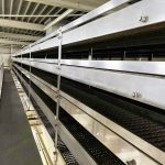 Industrial_bread_production_line_02