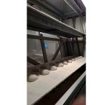 Complete_bread_production_line_11